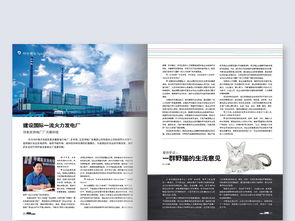 企業(yè)宣傳畫冊與健身器材期刊設計指南